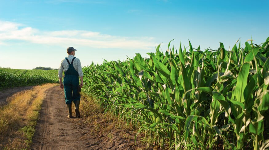 EIB and BNP Paribas Leasing Solutions unlock €200 million to finance EU agriculture and bioeconomy SMEs