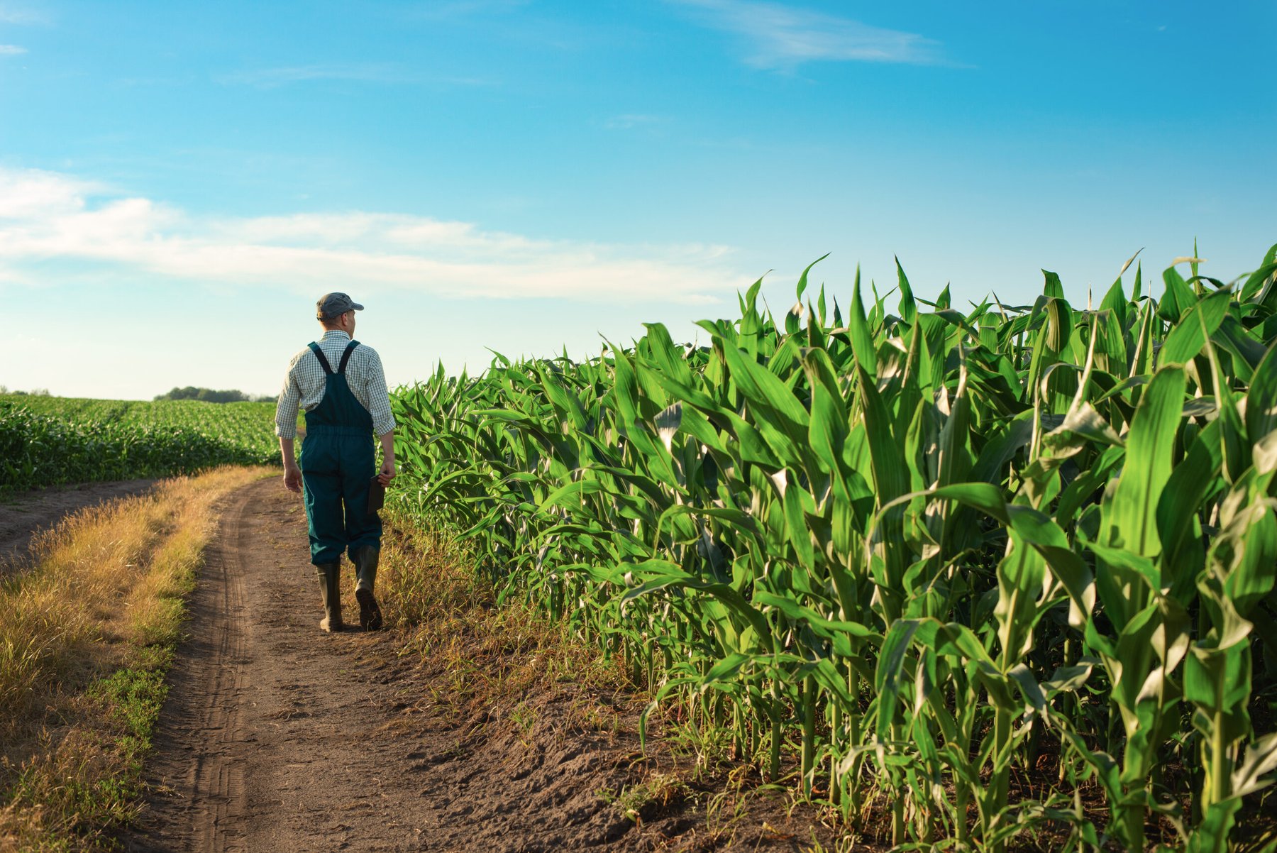 EIB and BNP Paribas Leasing Solutions unlock €200 million to finance EU agriculture and bioeconomy SMEs