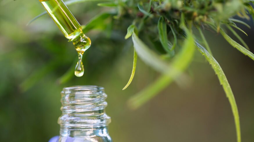 Scientists say cannabis leaves contain rare compounds with medical benefits