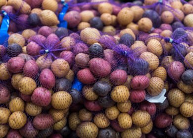 Peru defines rules for gene-edited crops under GMO moratorium