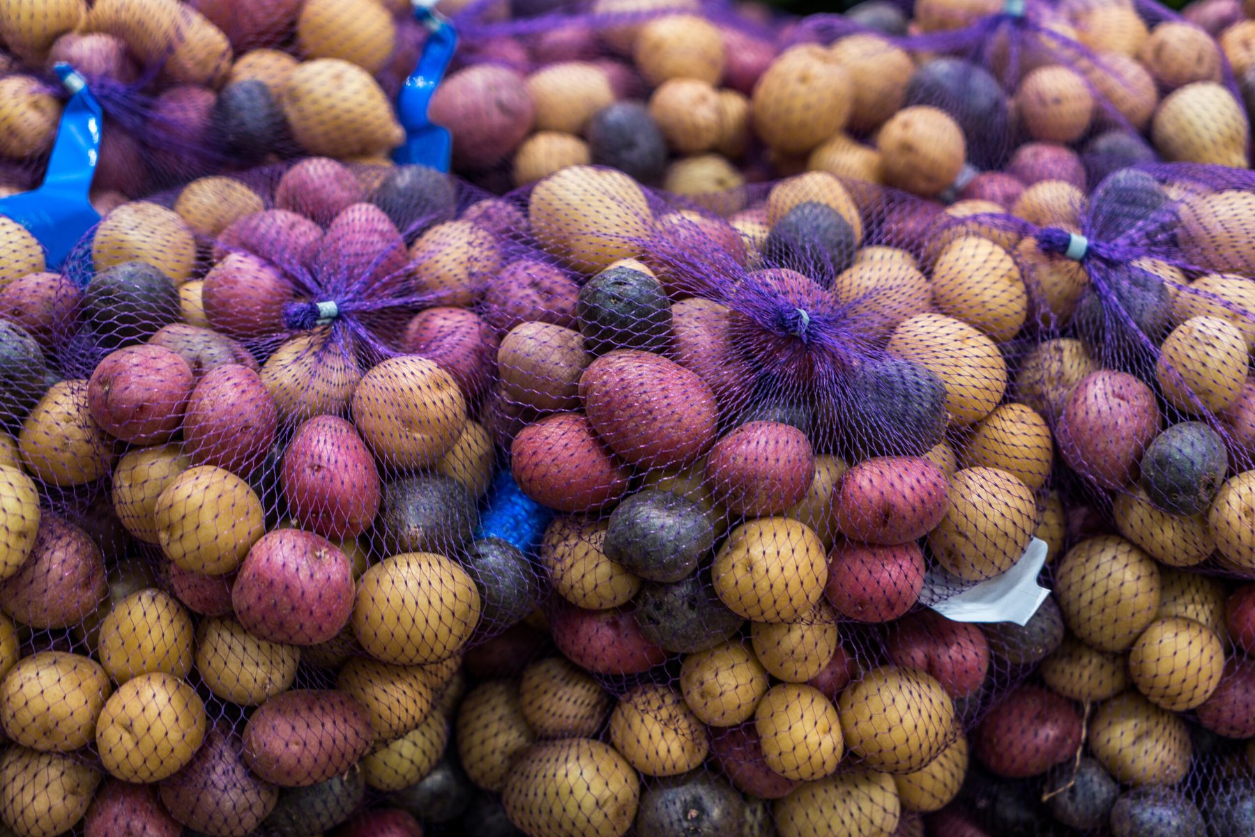 Peru defines rules for gene-edited crops under GMO moratorium