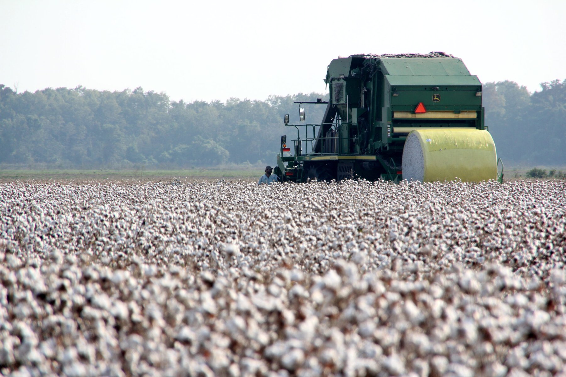 USDA unveils Great American Cotton Plan to boost farm profitability and revive domestic textile industry
