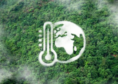Study finds conservation farm policies reduced global cropland degradation