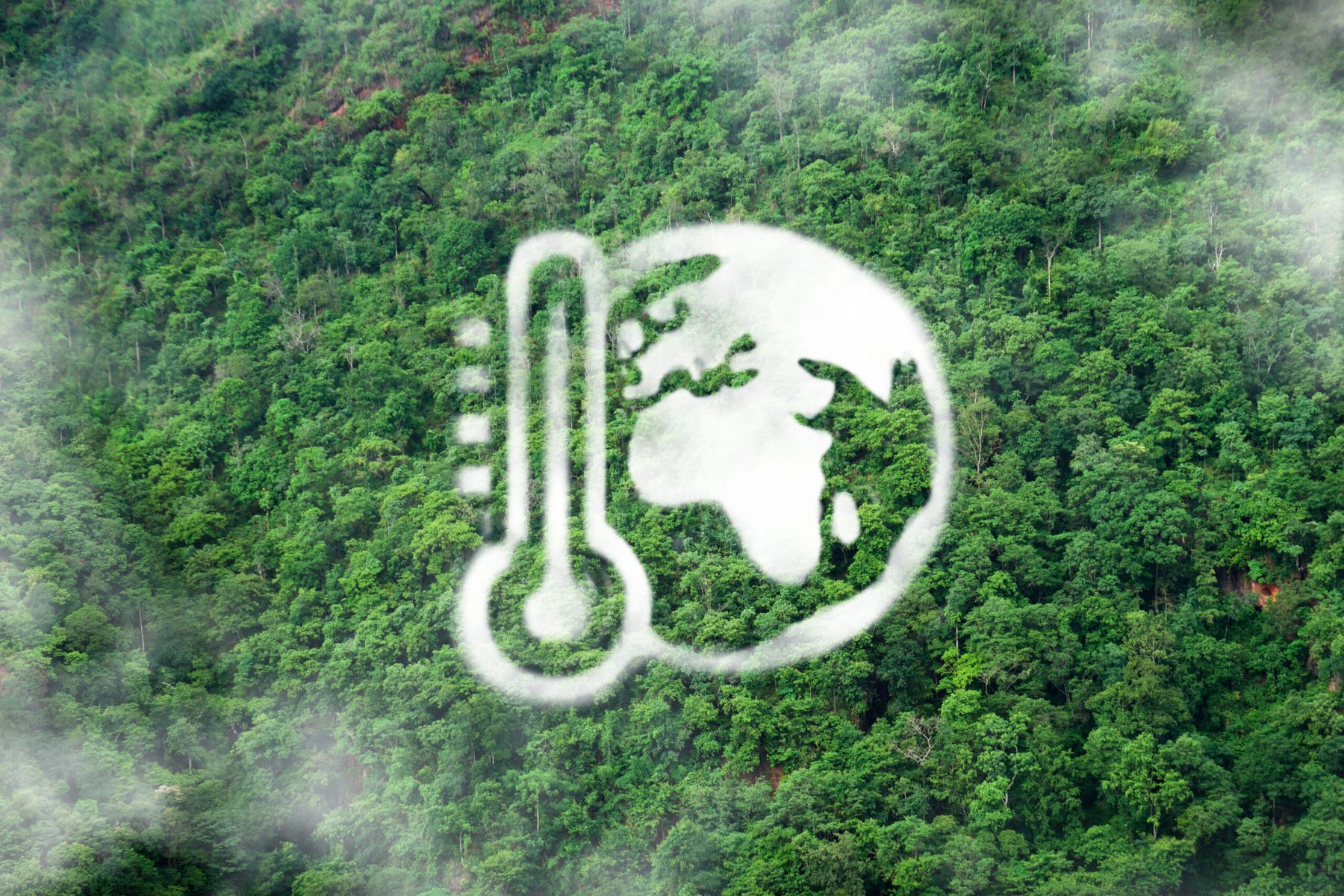 Study finds conservation farm policies reduced global cropland degradation