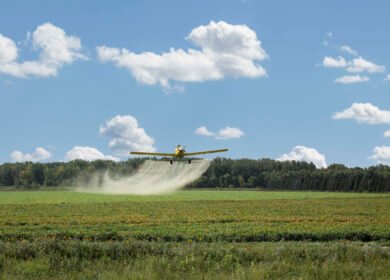 EPA approves continued use of atrazine herbicide despite widespread environmental concerns
