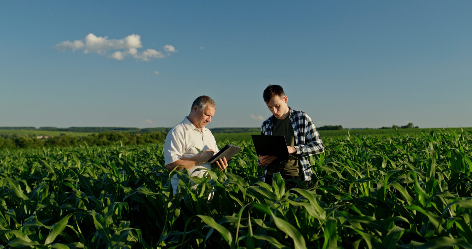 USDA opens enrollment for $1.63 billion specialty crop assistance program