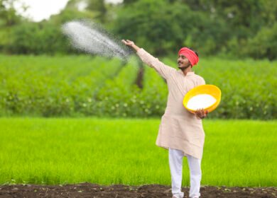India issues 1.7mt urea tender ahead of monsoon sowing as domestic production shortfall deepens