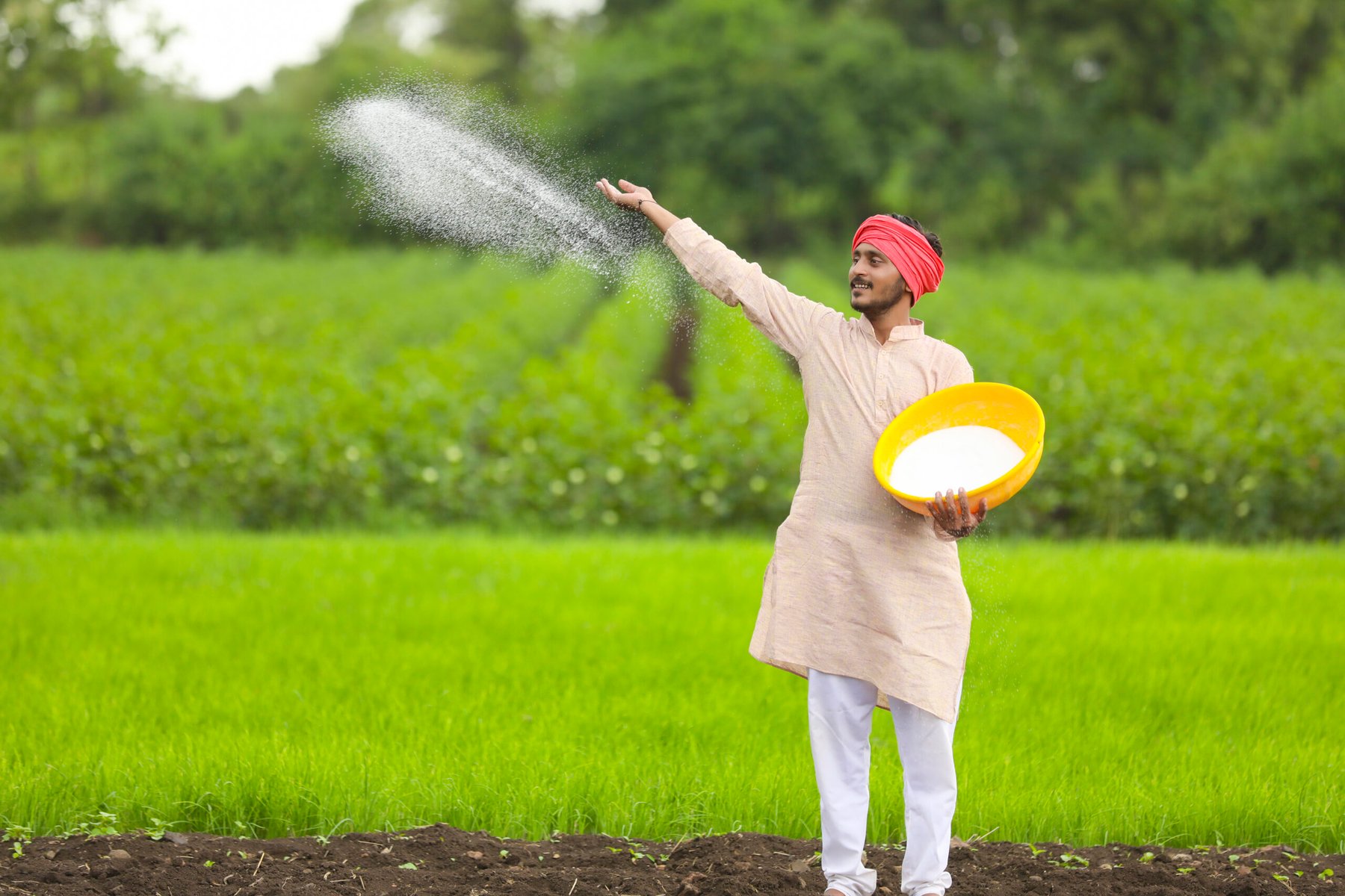 India issues 1.7mt urea tender ahead of monsoon sowing as domestic production shortfall deepens