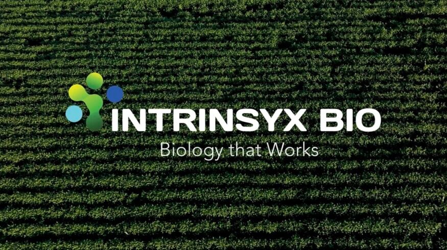 Syngenta acquires Intrinsyx Bio to strengthen position in nutrient use efficiency biologicals