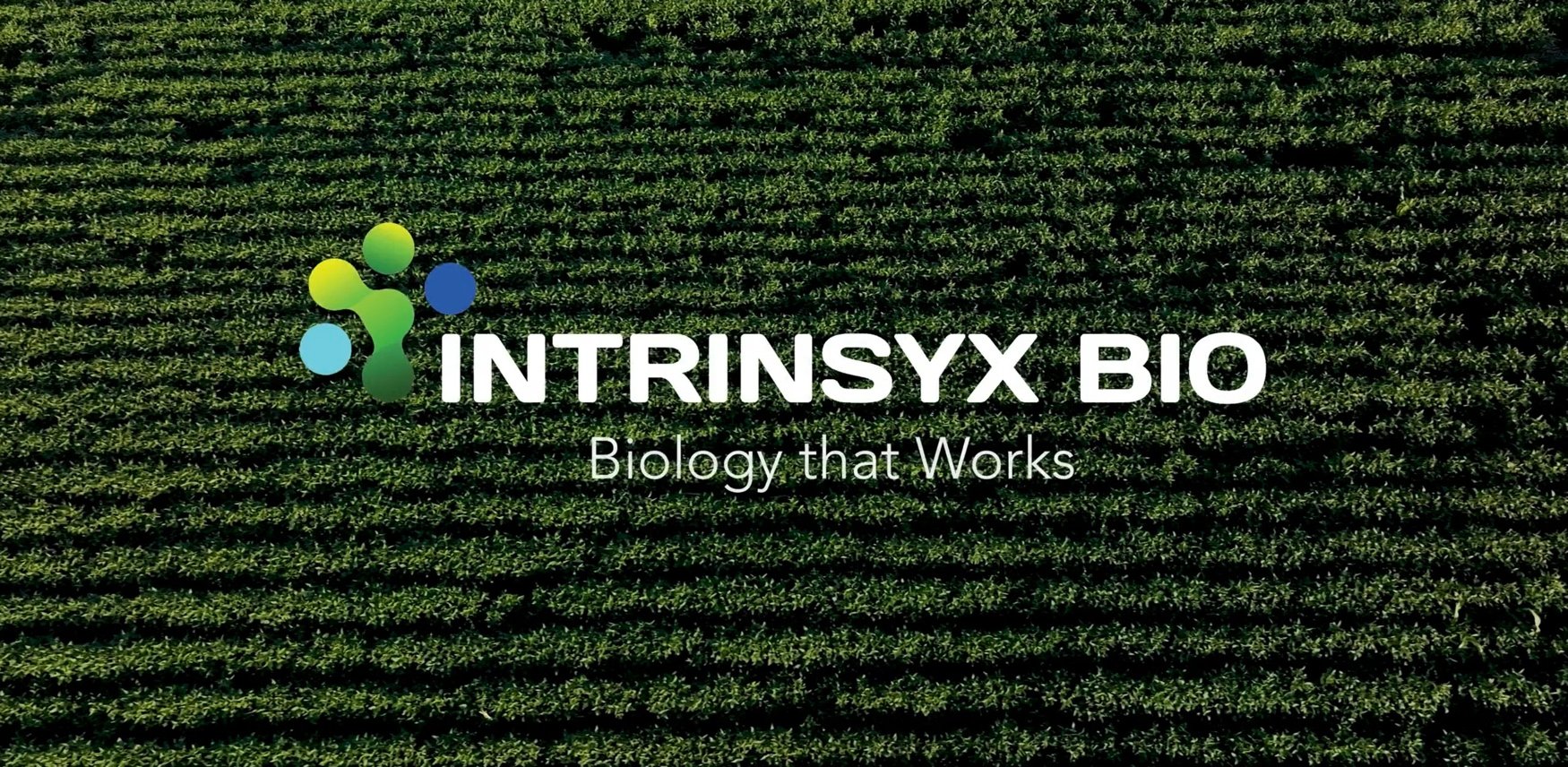 Syngenta acquires Intrinsyx Bio to strengthen position in nutrient use efficiency biologicals