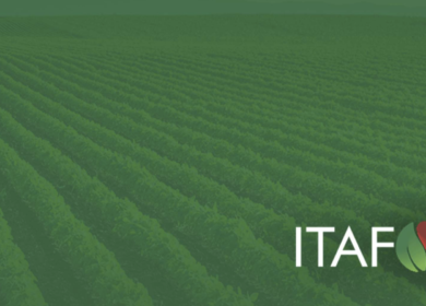 Itafos and Rio Tinto amend sulfuric acid supply contract through 2029 to steady U.S. phosphate production costs