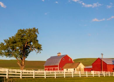 U.S. farm debt nears record $625B as fertilizer costs and bankruptcies hit highest levels in years