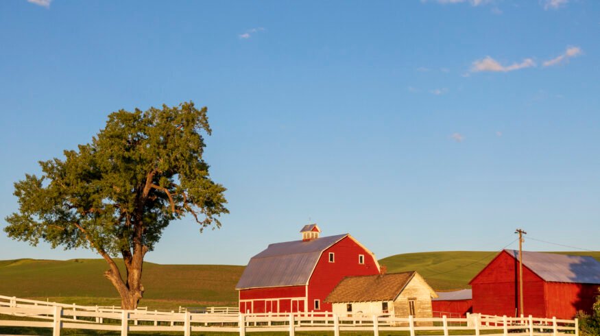 U.S. farm debt nears record $625B as fertilizer costs and bankruptcies hit highest levels in years