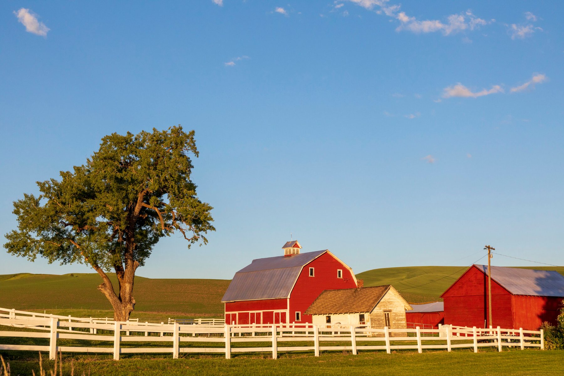 U.S. farm debt nears record $625B as fertilizer costs and bankruptcies hit highest levels in years