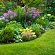 Small gardens, big impact: how pollinator-friendly yards support wildlife