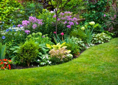 Small gardens, big impact: how pollinator-friendly yards support wildlife