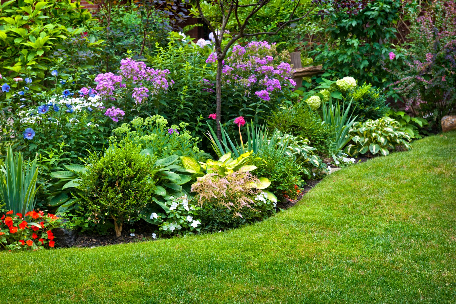 Small gardens, big impact: how pollinator-friendly yards support wildlife