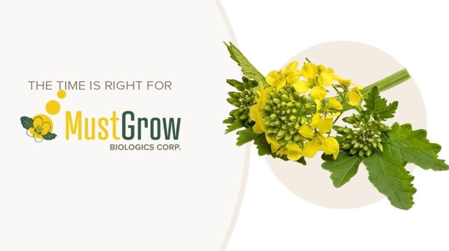 MustGrow revenue climbs to $8.3 million in 2025 as the company pivots to U.S. market