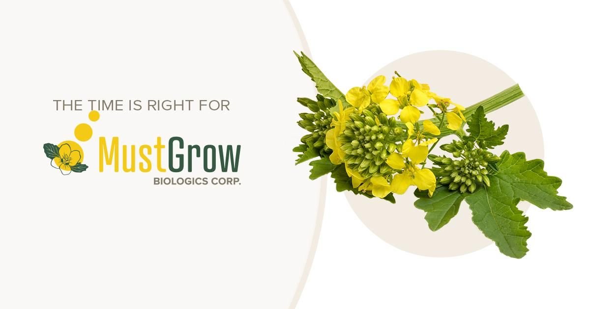 MustGrow revenue climbs to $8.3 million in 2025 as the company pivots to U.S. market