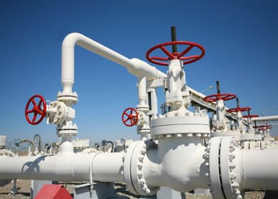 Mexico’s Pacific coast ammonia project nears completion amid local opposition