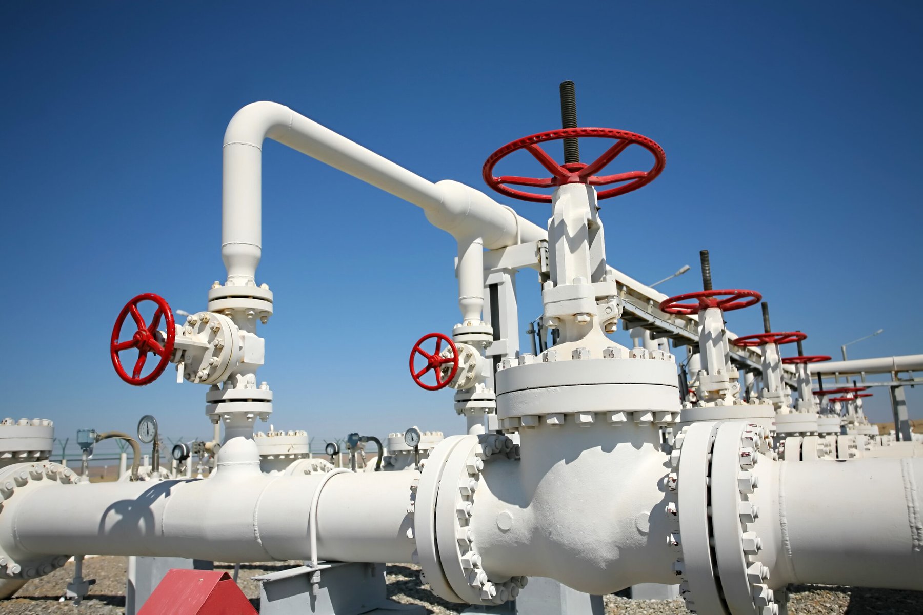 Mexico’s Pacific coast ammonia project nears completion amid local opposition