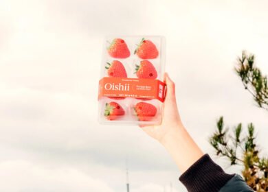 Oishii closes $150M Series C to scale gene-edited strawberry vertical farming across North America