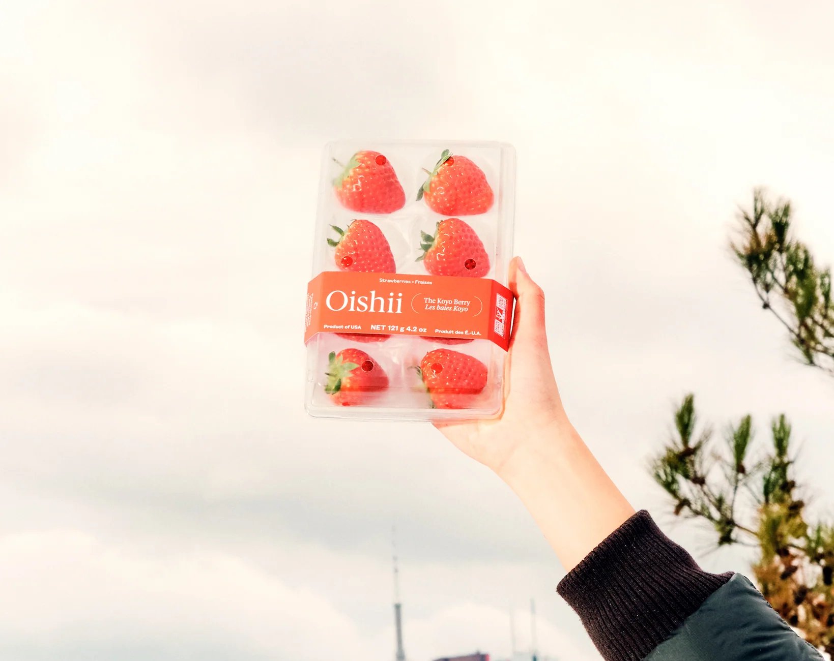 Oishii closes $150M Series C to scale gene-edited strawberry vertical farming across North America