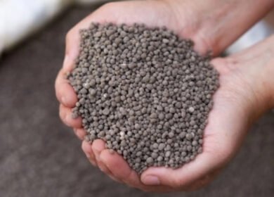 Ostara targets phosphate fertilizer market with efficiency-focused alternative