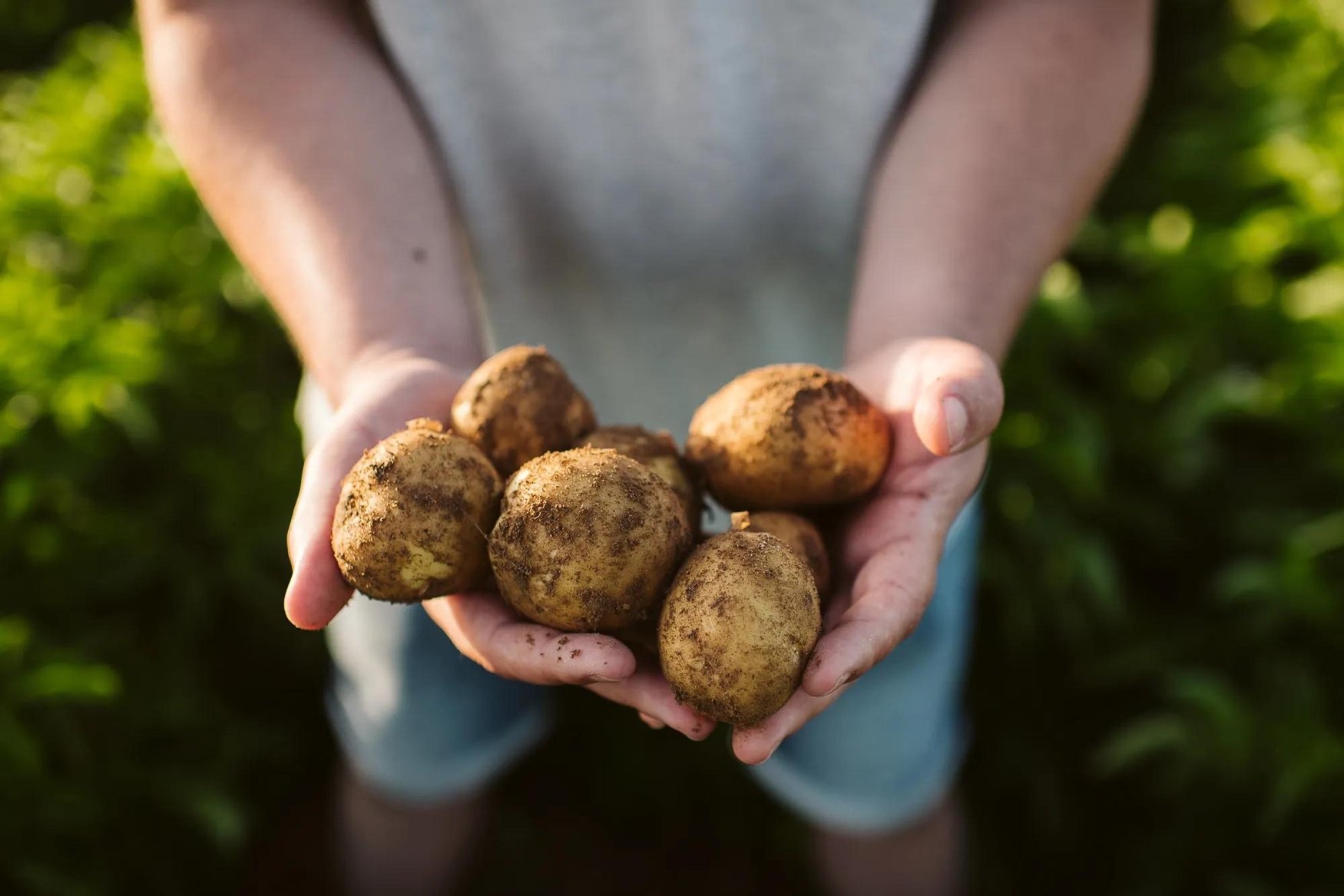PepsiCo expands low-carbon fertilizer partnership with Fertiberia across Europe