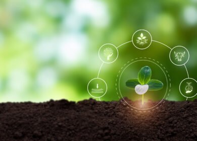 Regenerative agriculture deserves system-wide deployment, scientists argue