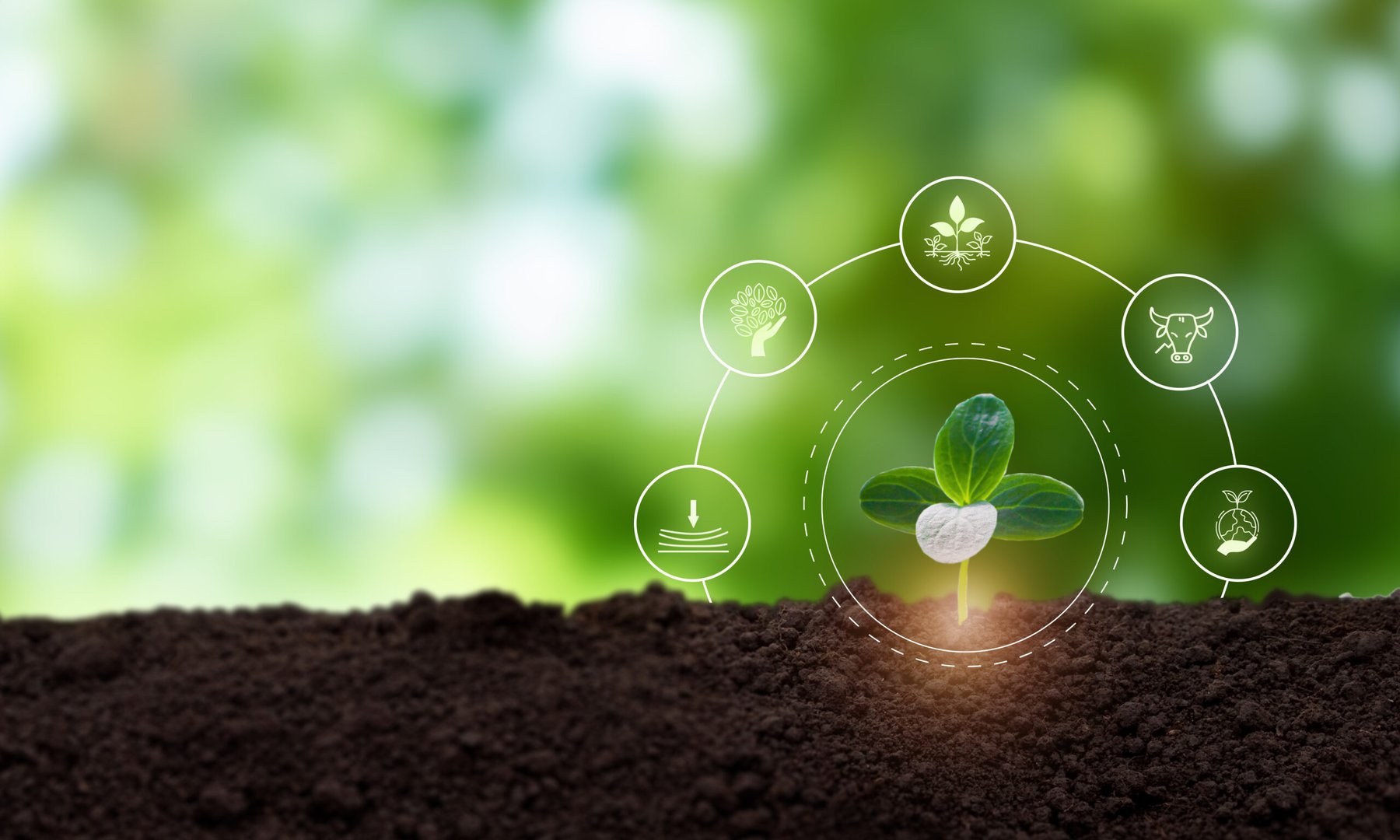 Regenerative agriculture deserves system-wide deployment, scientists argue