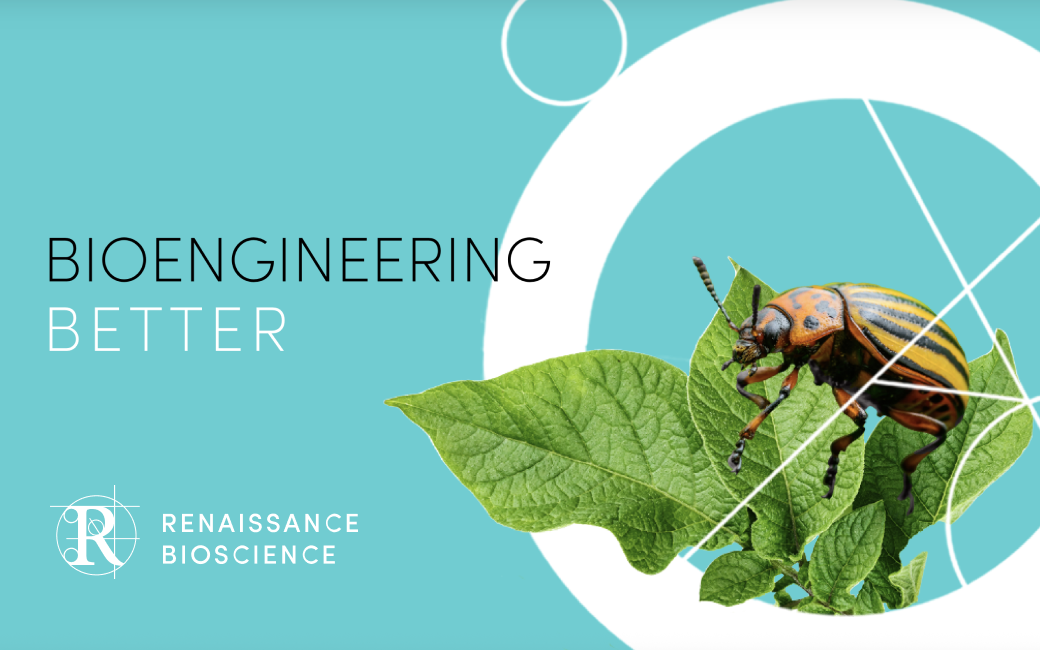 Renaissance Bioscience unveils virus-like particle platform to expand RNAi biopesticide scope beyond chewing insects