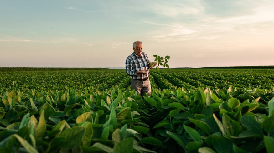 ICL opens new specialty fertilizer production facility in India, advancing Growing Solutions global expansion