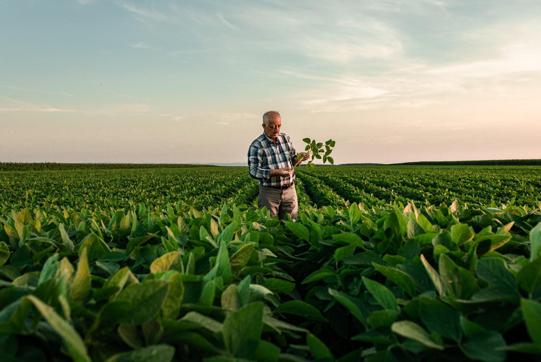 ICL opens new specialty fertilizer production facility in India, advancing Growing Solutions global expansion