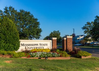 Mississippi State University’s forestry team wins $590K USDA grant to model timber-market risk in U.S. South