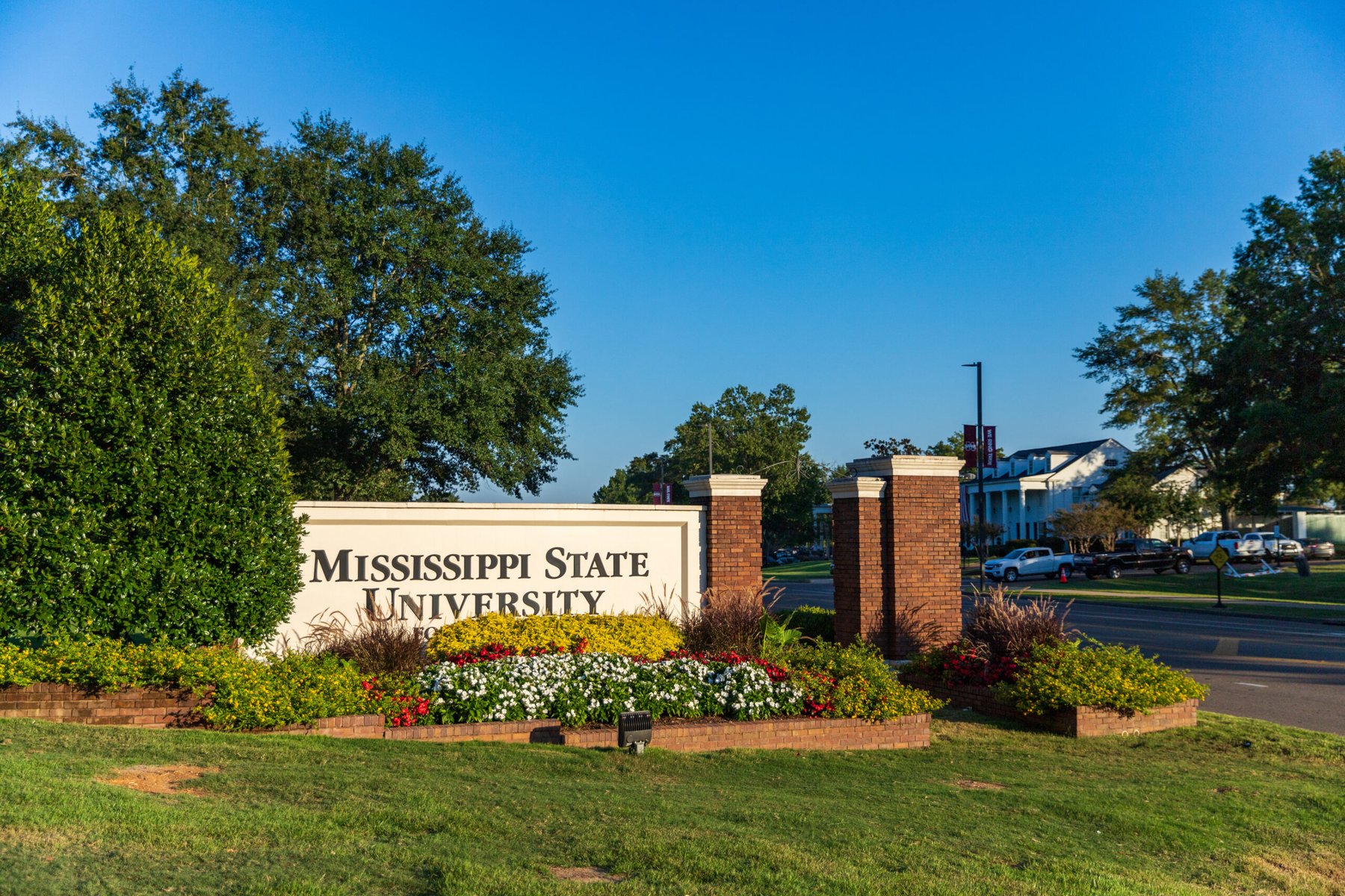 Mississippi State University’s forestry team wins $590K USDA grant to model timber-market risk in U.S. South