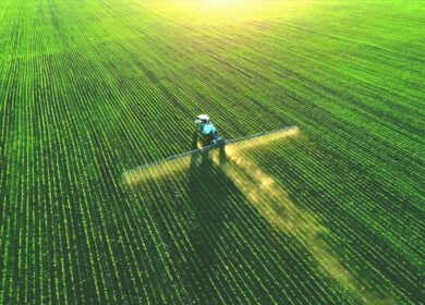 Trump wants to increase U.S. fertilizer production aiming at 30% nitrogen boost, 100% potash expansion and 200% phosphate growth