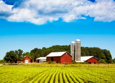 U.S. farm bankruptcies surge 46% in 2025, reaching highest level in five years