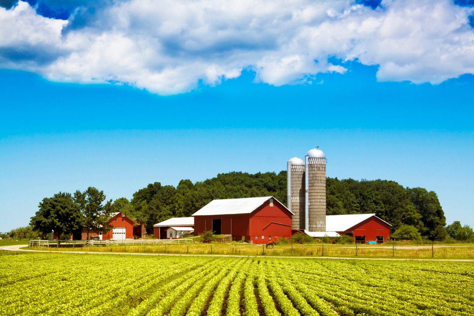 U.S. farm bankruptcies surge 46% in 2025, reaching highest level in five years