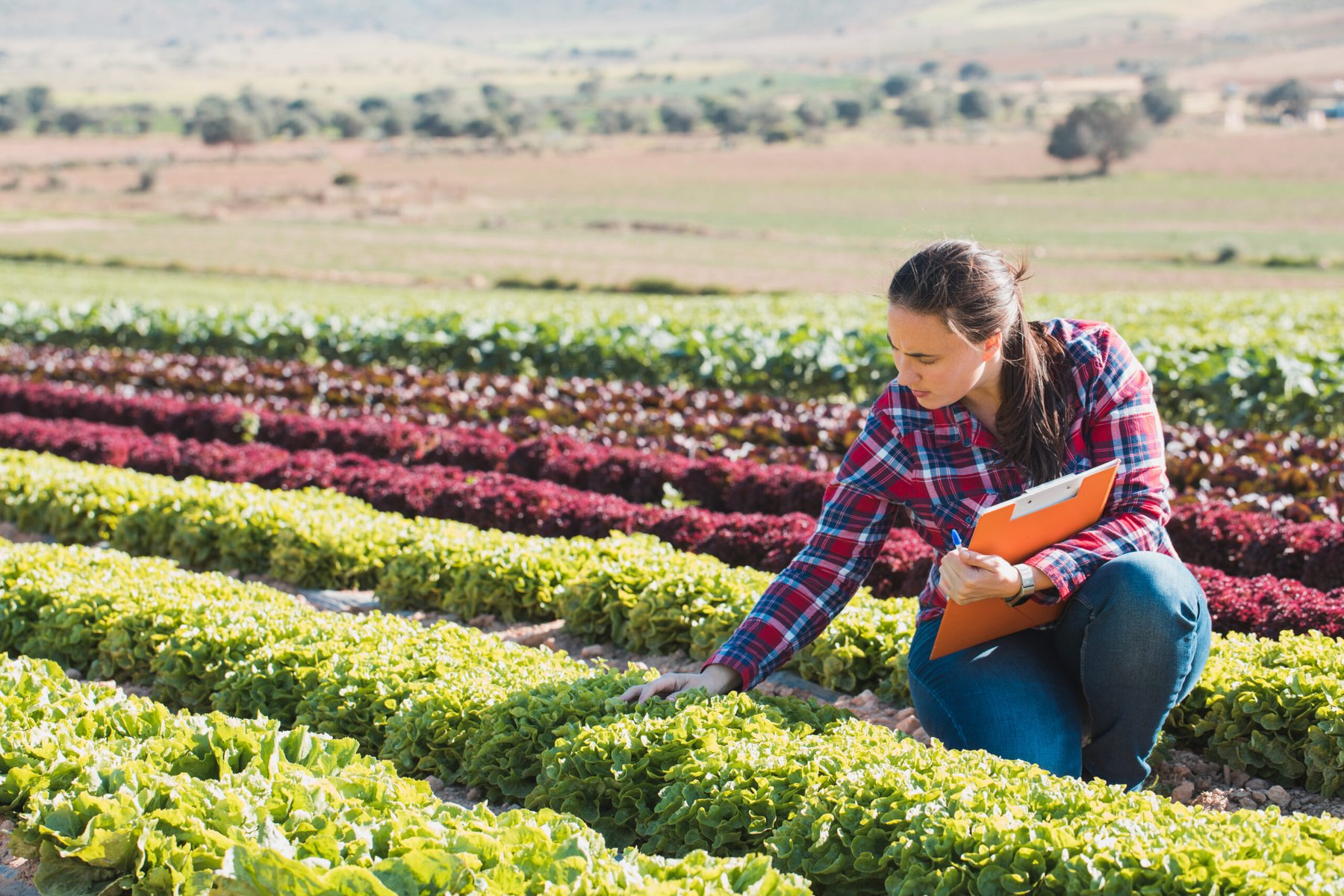 American Farm Bureau: 70% of US farmers cannot afford full fertilizer needs as spring planting peaks
