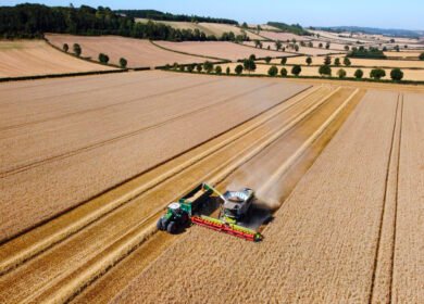 UK chemicals industry warns of mounting competitiveness crisis