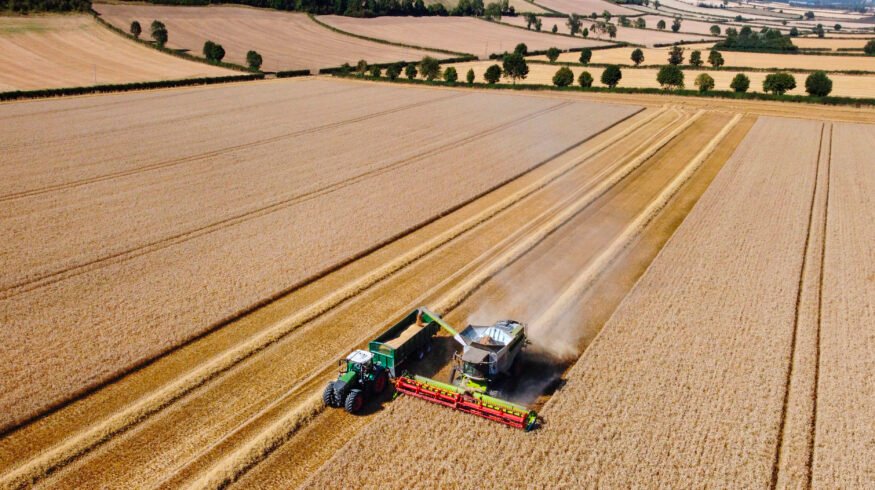 UK chemicals industry warns of mounting competitiveness crisis