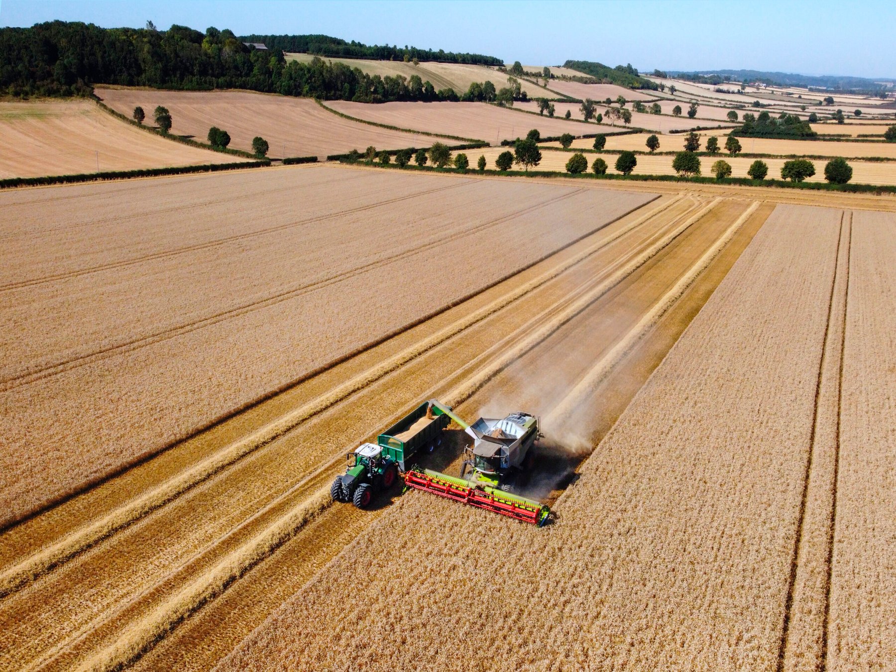 UK chemicals industry warns of mounting competitiveness crisis