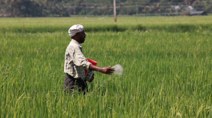 India locks in 670,000t of green ammonia annually for fertilizer plants at half the global benchmark price