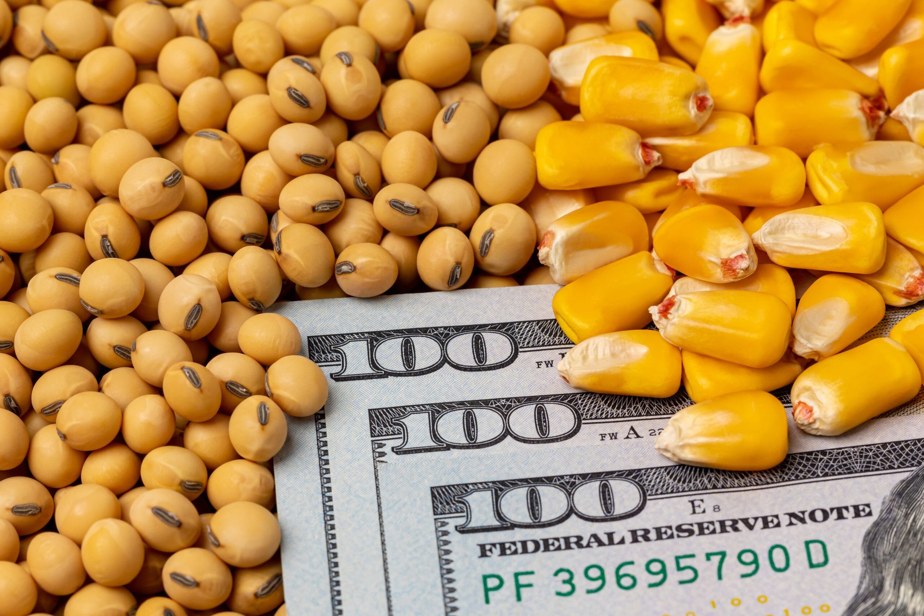 Urea-to-corn price ratio hits record highs as Hormuz crisis changes nitrogen costs