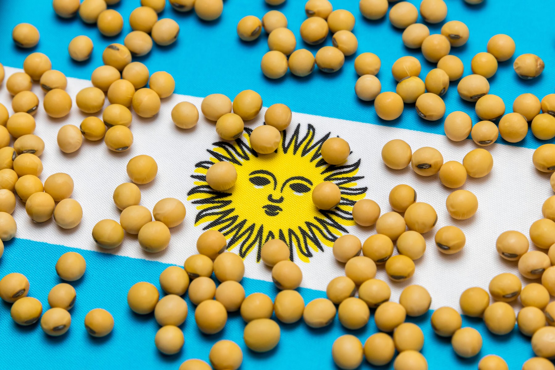 Argentina cuts export taxes on grains and outlines further reductions through 2028