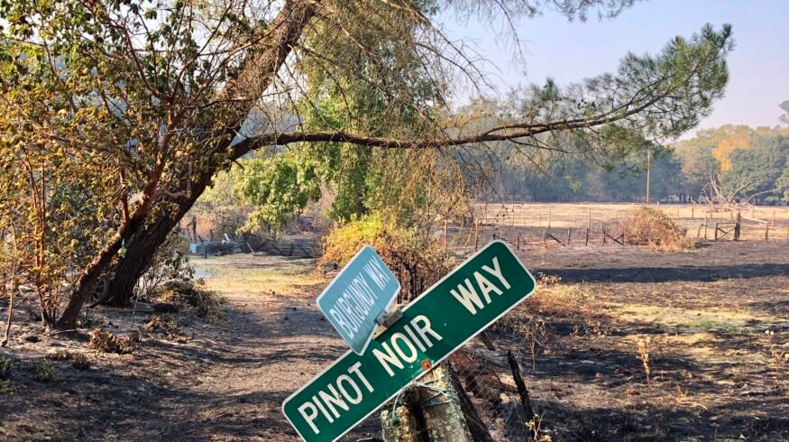 Gallo terminates Lodi crush facility as California wine downturn deepens