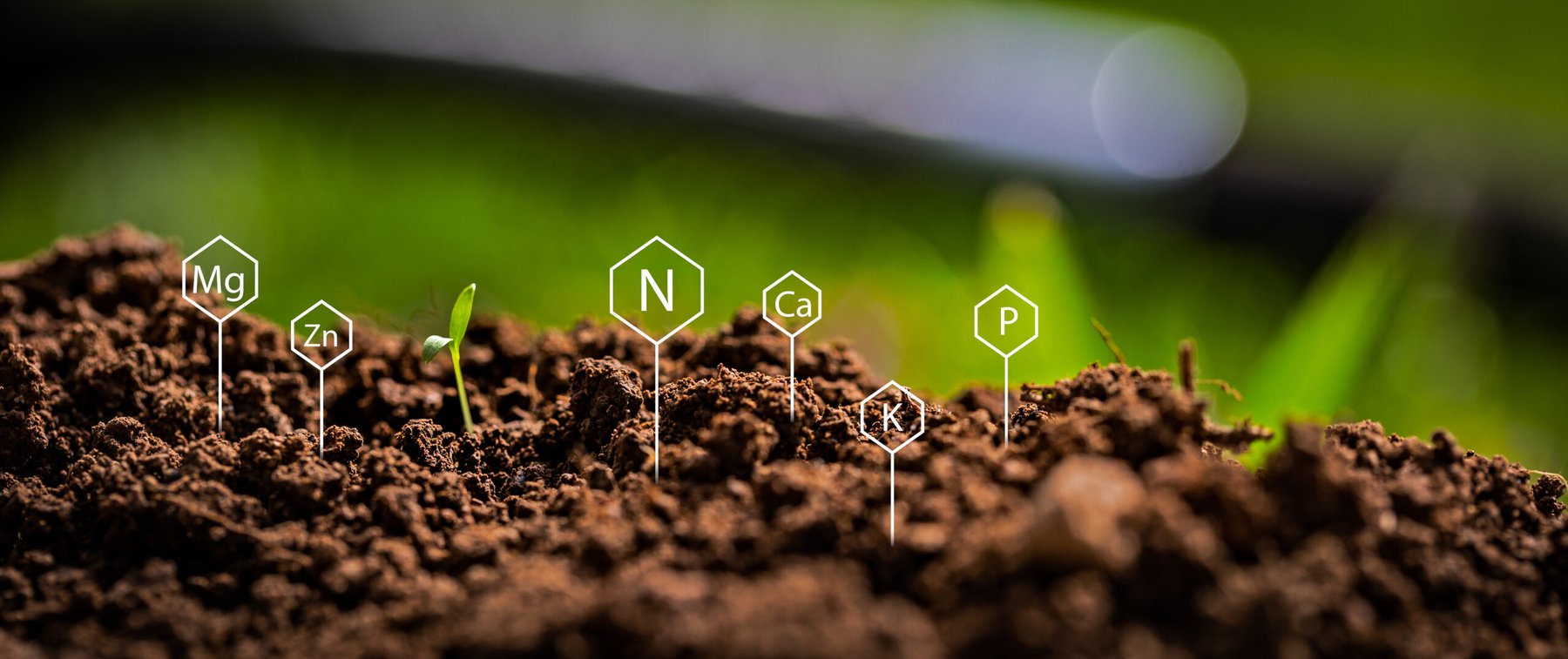 Iowa State urges late-spring nitrate testing as residual soil nitrogen runs high and variable