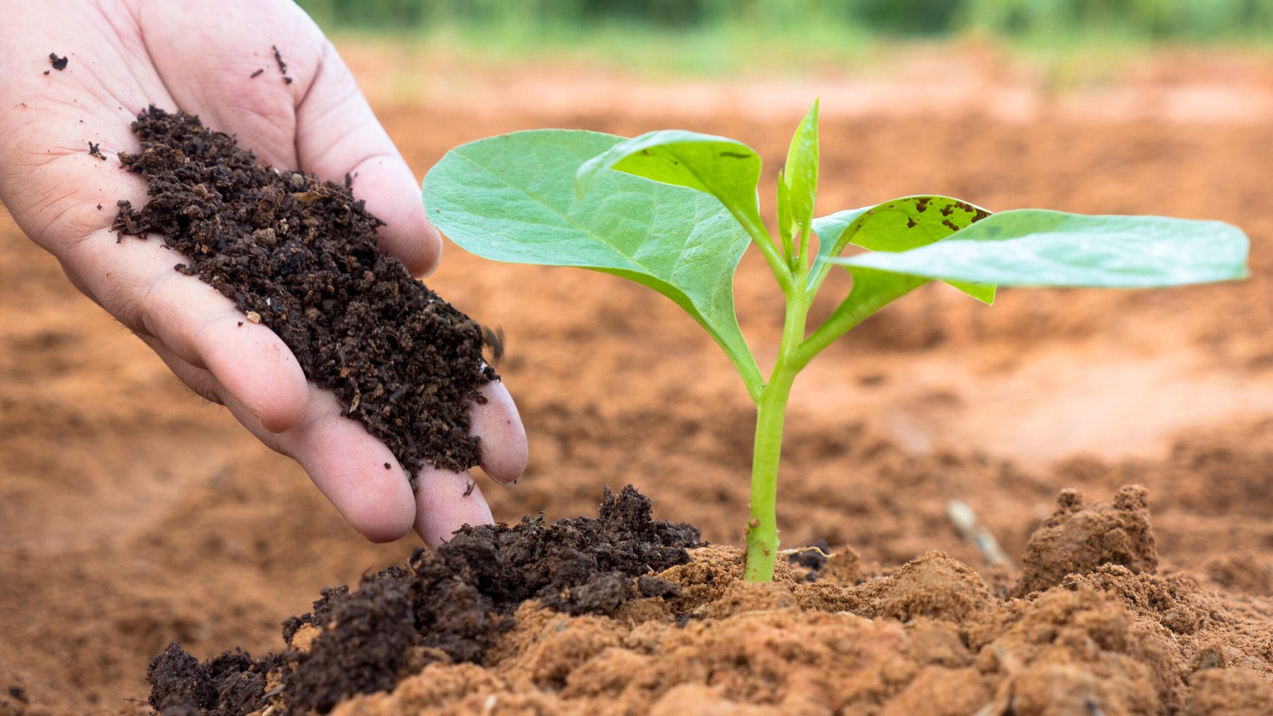 GSR Solutions promotes recovered nutrients to reduce runoff and increase fertilizer supply