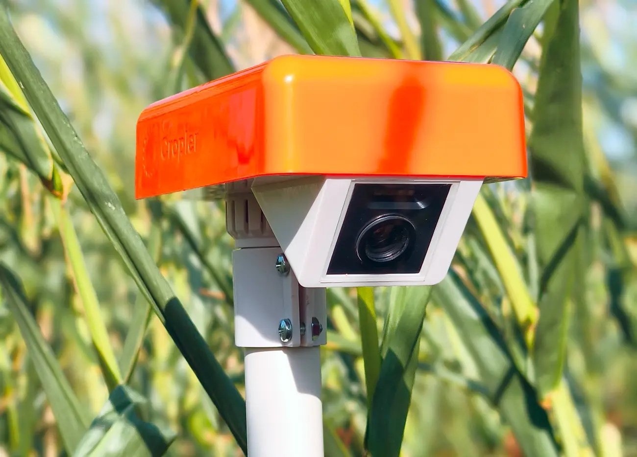 Cropler bets on ground-truth infrastructure as the missing layer for agricultural AI